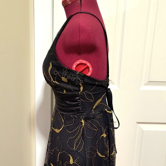 #63 - LaSeala Party Dress - Picture 3 of 5